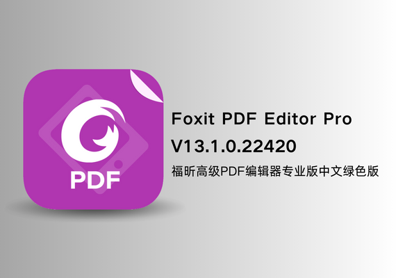 福昕高级PDF编辑器专业版 Foxit PDF Editor Pro v13.1.0.22420【中文绿色版】 | NS云社区